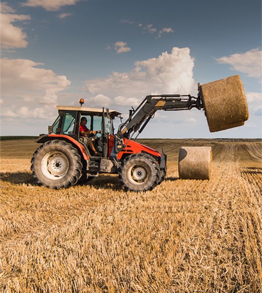Inset-TeamWalking-Wheat-Field