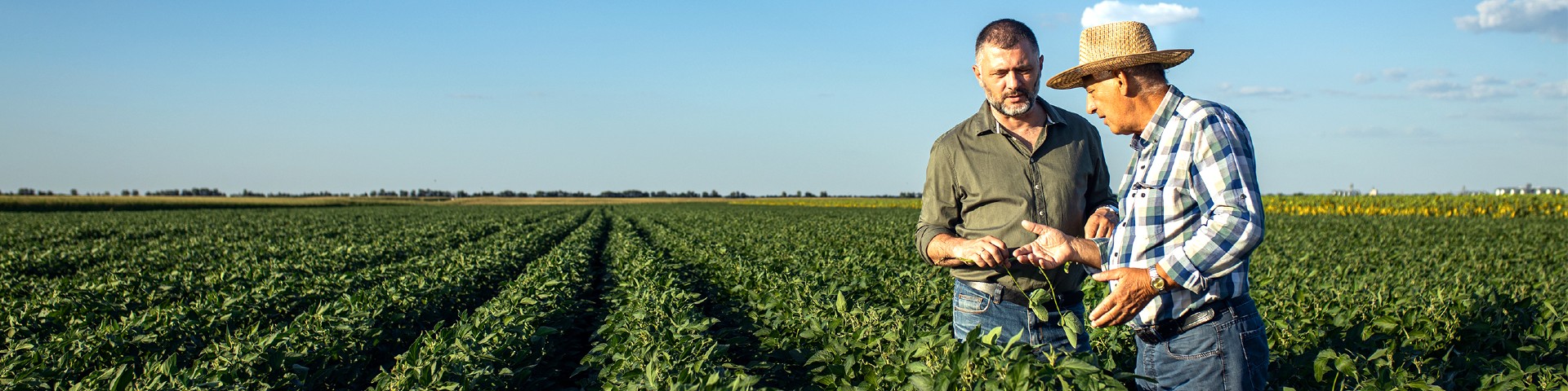 Business Lenders Hero